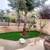 🔷MLR Artificial and Turf Grass Specialist. more. Dependable!🔷 17 thumbnail