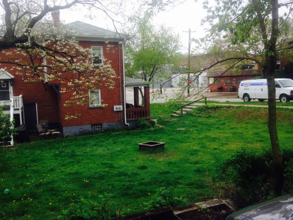 Section 8 housing for rent