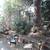 $1895- $1000 Bonus, One Bedroom+Office, In Amazing China Hill Building 8 thumbnail