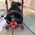 Electric Drain Cleaner Snake auger  75Ft 1/2" 1 thumbnail