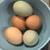Farm Fresh Eggs 2 thumbnail