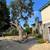 TREE &STUMP GRINDING &STUMP REMOVAL SERVICE 5 thumbnail