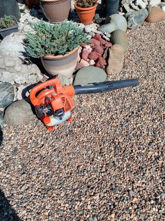 Pb 250 echo leaf blower 1