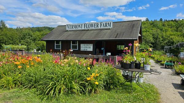 $450,000 / 413ft2 - Flower Farm For Sale! (Marshfield)63976978722306121