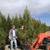 Afghan Pines!! WIND and DUST PROTECTION!! PROPERTY BORDERS PRIVACY! 1 thumbnail