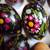 Eastern European Easter Eggs 4 thumbnail