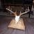 Deer skull cleaning European mount; $150 2 thumbnail