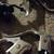Brake levers 3 thumbnail