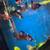 Rehoming koi bettas 1 thumbnail