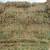 Grass and Alfalfa Hay Small Bales 6 thumbnail