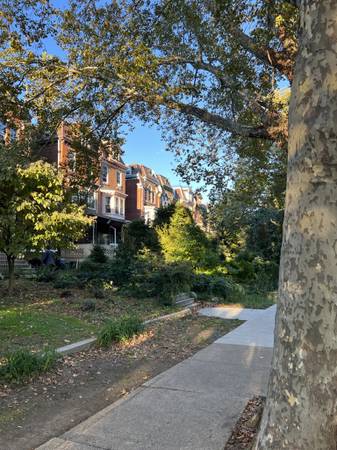 $1,875 / 2br - 1000ft2 - *****Large 2 Br Apt from near UPENN (gas/water included)***** (Philadelphia/University City)64046034599425120