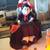 Halloween Stuff 8 thumbnail