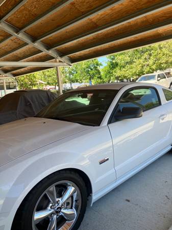 2007 Shelby Mustang GT - $25,000 (dublin / pleasanton / livermore)63654702111491123