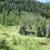 VAIL cabin AMAZING VIEWS  THIS WEEKEND! 4 thumbnail