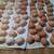 weekend egg sale 2 thumbnail