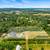 Turn-Key Multi-Generational Estate on 5 acres in Langley! 3 thumbnail