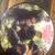 THE BEATLES 20th ANNIVERSARY PICTURE DISC 2 thumbnail