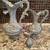 Decorative Pitchers 1 thumbnail