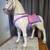 DISNEY PRINCESS RAPUNZEL'S HORSE, RIDE ON MY SIZE PONY 11 thumbnail