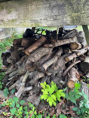 Firewood 1