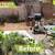 **Lawn and Maintenance Services, Quality & Excellence-Free Estimates** 2 thumbnail