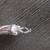 Silver-Tone Bracelets Nautical Starfish Shell Sand Dollar Set of Three 16 thumbnail