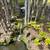 Beautiful Condo,Balcony, Pool, Fully Furnished 7 thumbnail