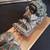 Eskimo Soapstone Carving - Dog Sled Team 5 thumbnail