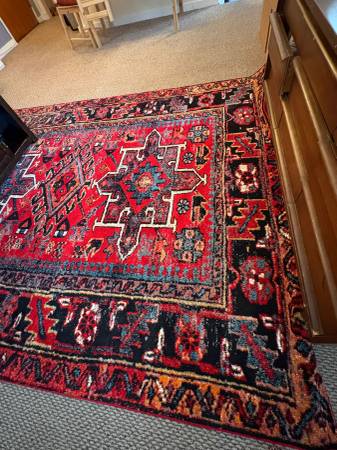 Great vintage rug for living room - $100 (DC)63471085666563120