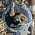 Fishing gear 17 thumbnail