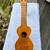 ⭐️UKULELES VINTAGE HAWAIIAN AND MARTIN 13 thumbnail