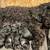 All Black toy poodle for sale 2 thumbnail