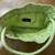 Deux Lux Brown Hand or Shoulder/Crossbody Bag, Green Ingrapel Handbag 13 thumbnail