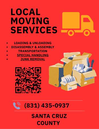 Professional movers 1