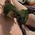 3 Conures 2 thumbnail