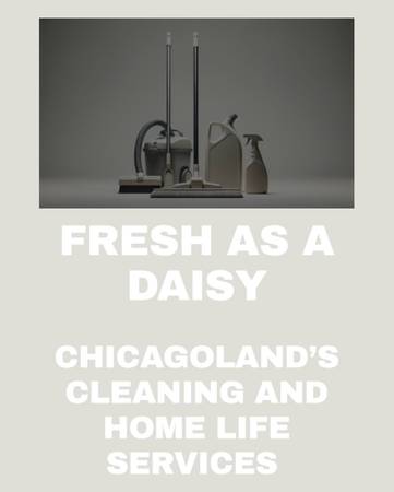 $30/hour Housekeeper, Cleaner, Maid Services 1