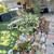 Large backyard, 2 bath house, 3 bed, garage  trees, WD, quiet 16 thumbnail