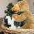 Rare Animated Musical Christmas Dogs! 1 thumbnail