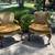 Antique eagle leg gold velvet arm chairs- no smoke no pets 17 thumbnail