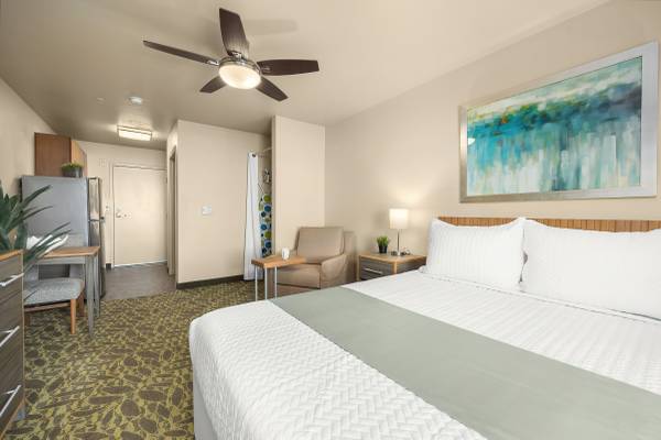 $1,895 Furnished Modern Studio in Downtown Bellevue! Utilities Included! (Downtown Bellevue, Amazon, Tik-Tok, Meta,Overlake, Microsoft)63688369516419124