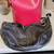 2 Ladies Bags 1 Elizabeth Arden & Coach $15 Set 1 thumbnail
