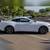 2024 Ford Mustang EcoBoost Premium 2dr Fastback 3 thumbnail