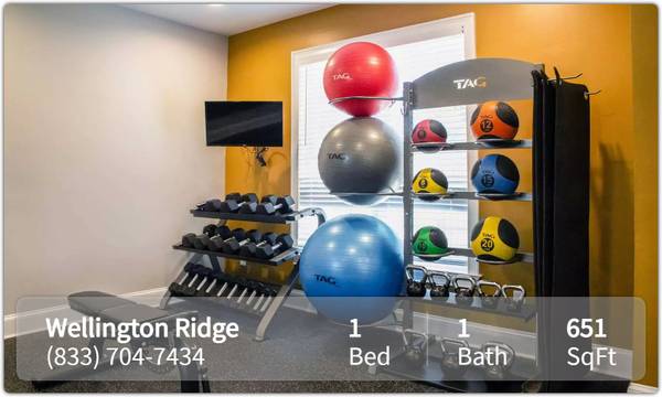 $1,196 / 1br - 651ft2 - All you need and more: 1 BR, 1 BA in a vibrant community. (Covington)63963991709315120