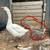Gosling 1 thumbnail