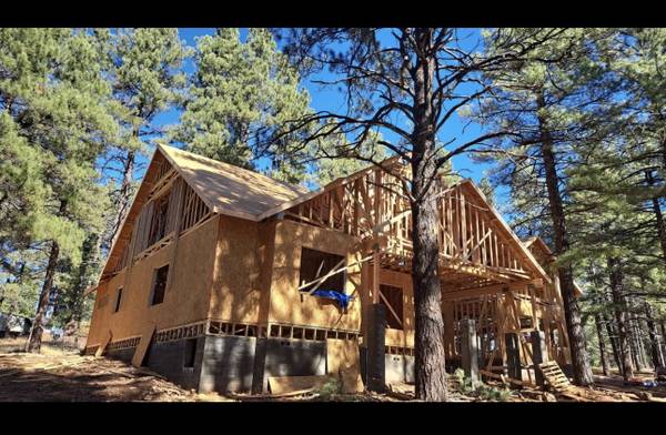 Experienced Framer 1