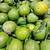 Sweet lemon lima dulce sweet lime limón tree for sale Organic 4 thumbnail