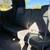 2007 Lexus GX470 12 thumbnail