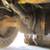 2000 John Deere 624H Wheel Loader 18 thumbnail