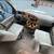 2008 FOREST RIVER LEXINGTON GTS 27' C-CLASS **POWER STROKE DIESEL V8** 8 thumbnail