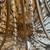 Beautiful Metal Chandelier 11 thumbnail